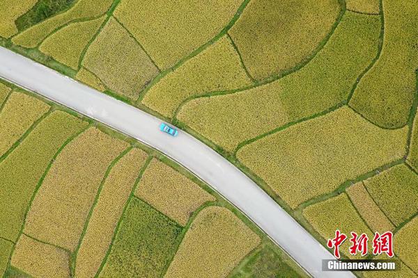 Researchers developed a new type of biodegradable plastic that breaks down in soil within four months