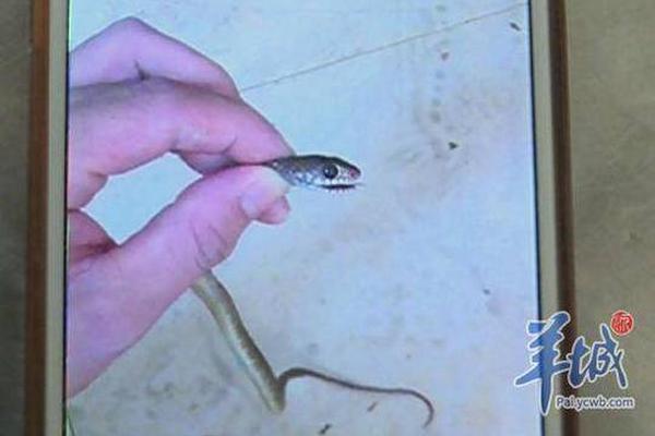 A major airline announced plans to replace older planes with more fuel-efficient models