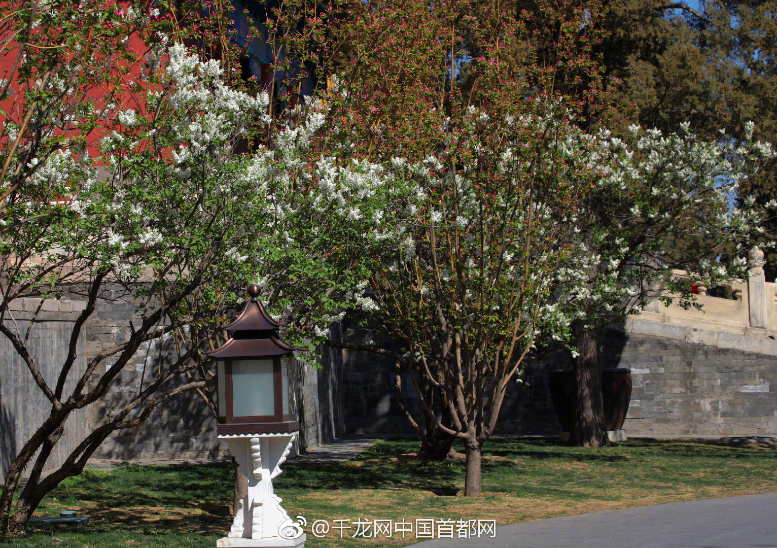 Schools introduced a new mental health support program for students and teachers