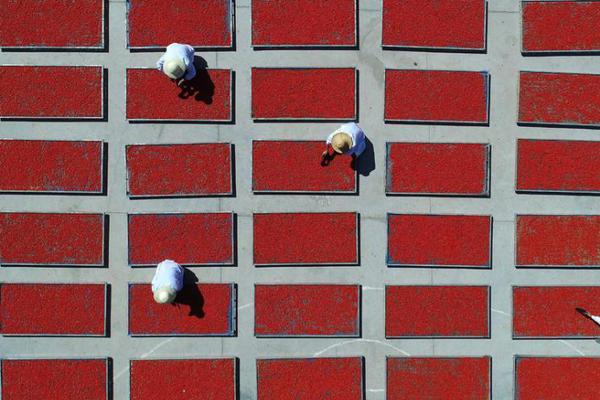 A local business owner won an award for entrepreneurship, recognized for their innovative approach to sustainable business.