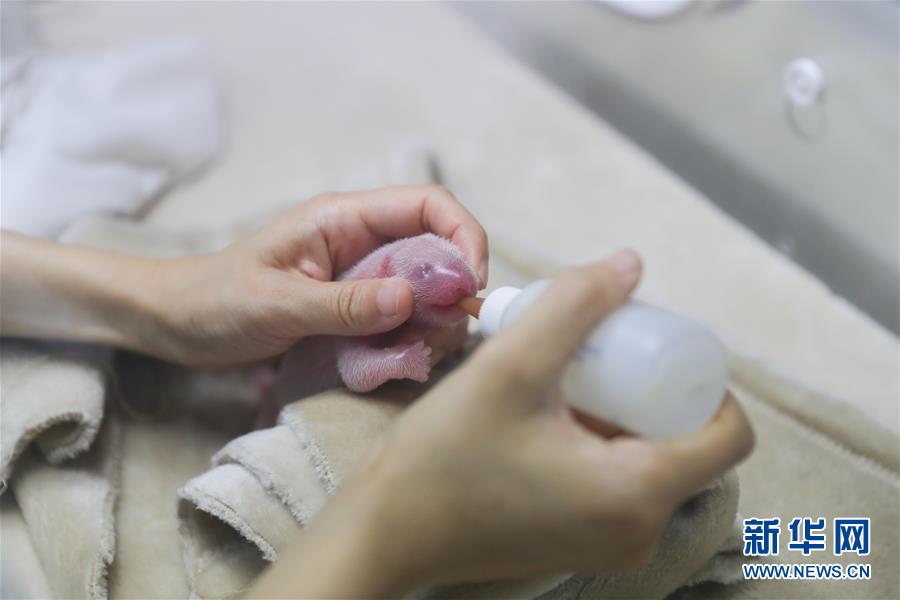 Local authorities announced plans to build a new hospital in a rural area addressing the shortage of medical facilities