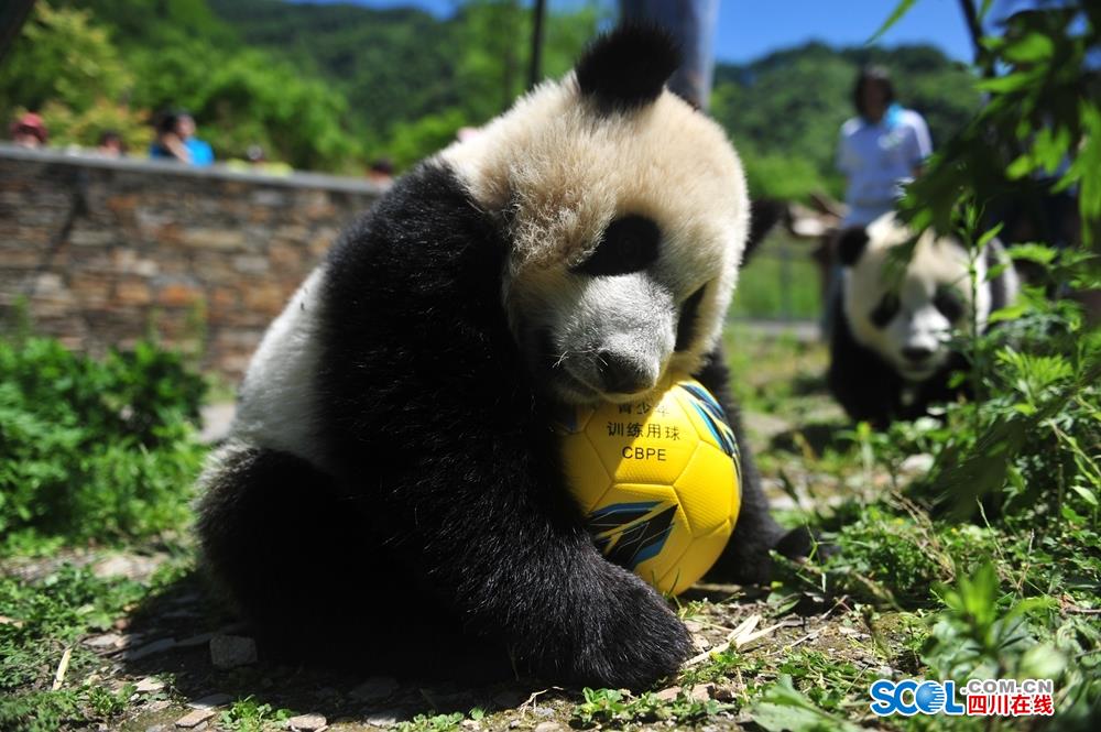 Engineers tested a new type of solar panel that can generate electricity even on cloudy days