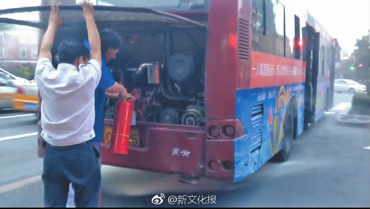 The transportation ministry added more crosswalks and pedestrian signals in busy areas