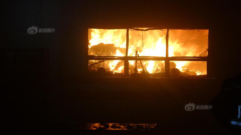 Bakery offers low sugar cookies and pastries for health conscious customers