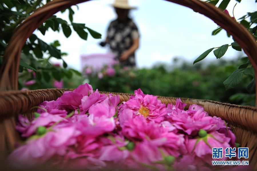 The national tennis tournament attracted top players from 30 different countries