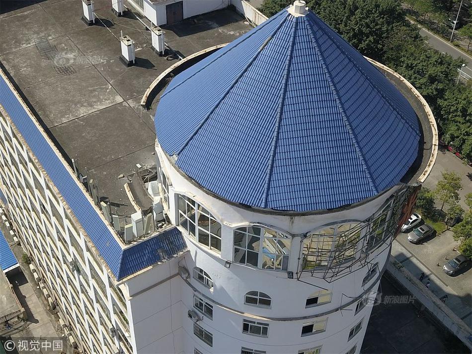 Researchers found that spending time in forests lowers stress levels