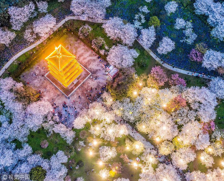 Local government organizes cleanup event for riverbank polluted by litter