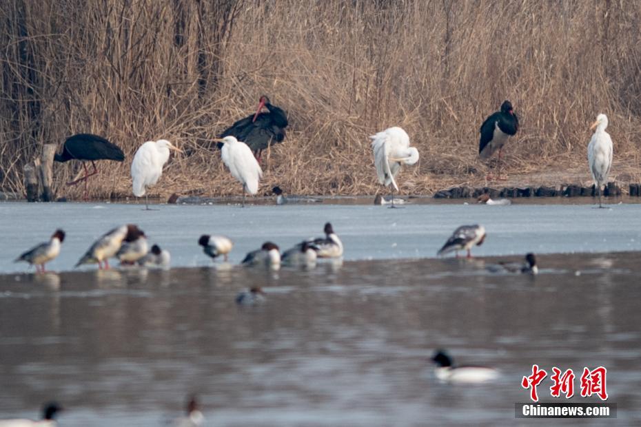 A popular social media platform introduced new privacy settings for users