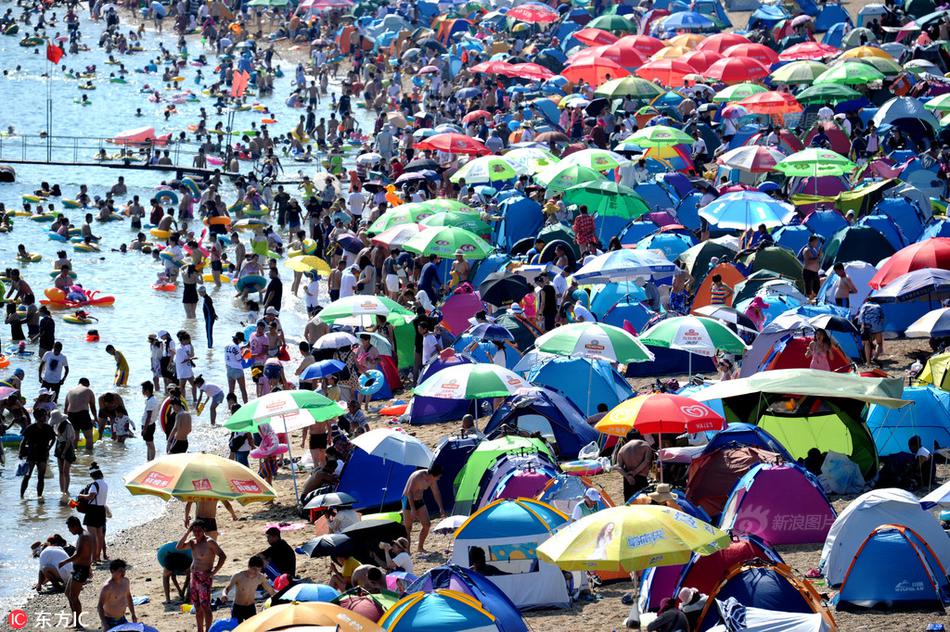 A taxi company added electric vehicles to its fleet, reducing its carbon footprint by 30%