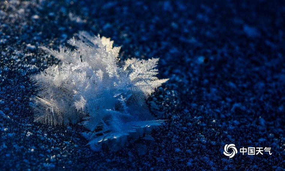 The city hosted a global summit on renewable energy attended by world leaders