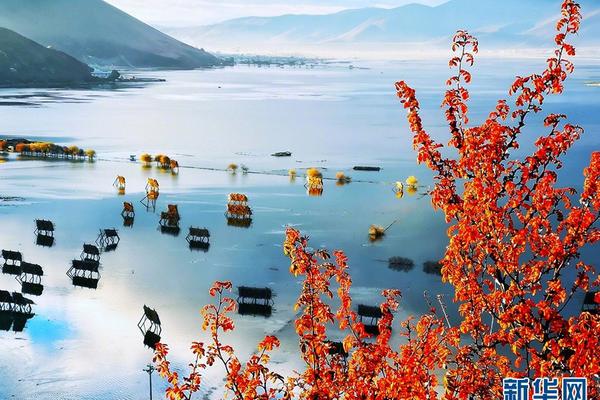 The city hosted an international trade fair showcasing products from over 50 countries