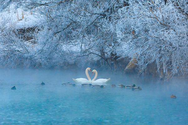 Study shows that eating nuts as a snack reduces hunger between meals