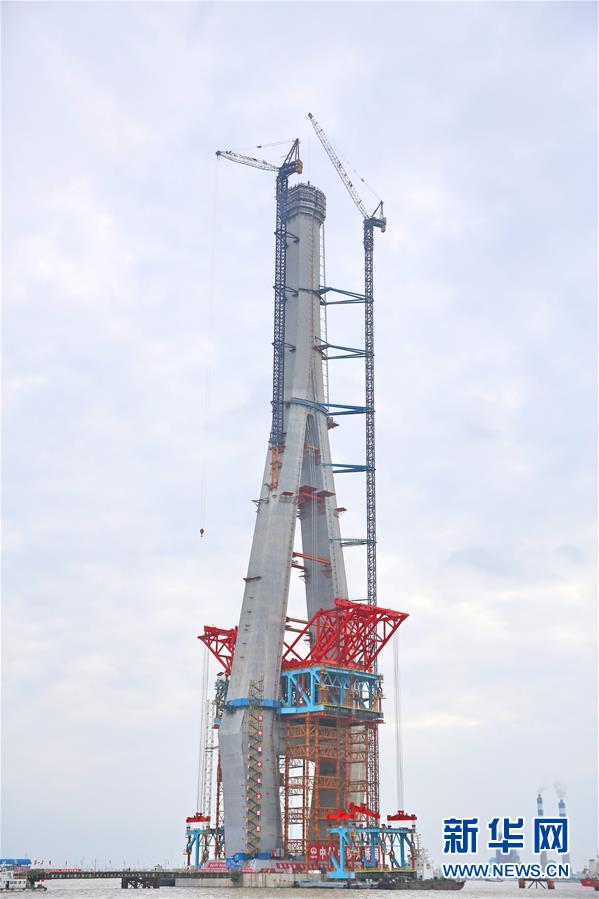 A famous poet was awarded a lifetime achievement award for their contributions to literature