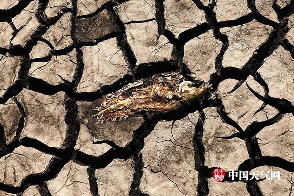 Scientists developed a new method to purify water using sunlight and a simple filter