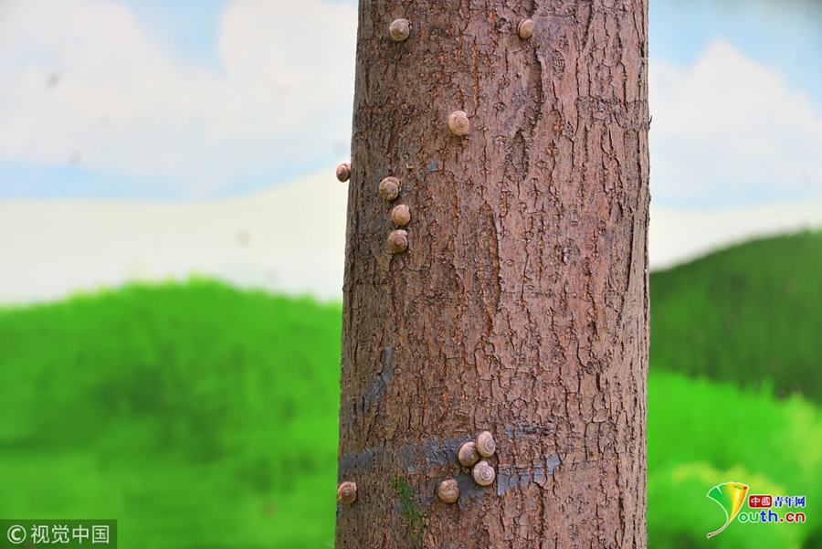 Mathematicians solve complex problem in algebra that has puzzled experts for decades