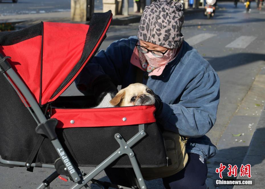 A city added 10 new bike lanes to reduce traffic congestion and promote eco-friendly transportation
