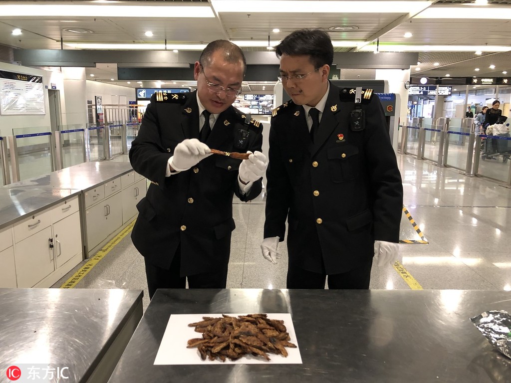 A coffee shop hosted a coffee tasting event with beans from 8 different countries