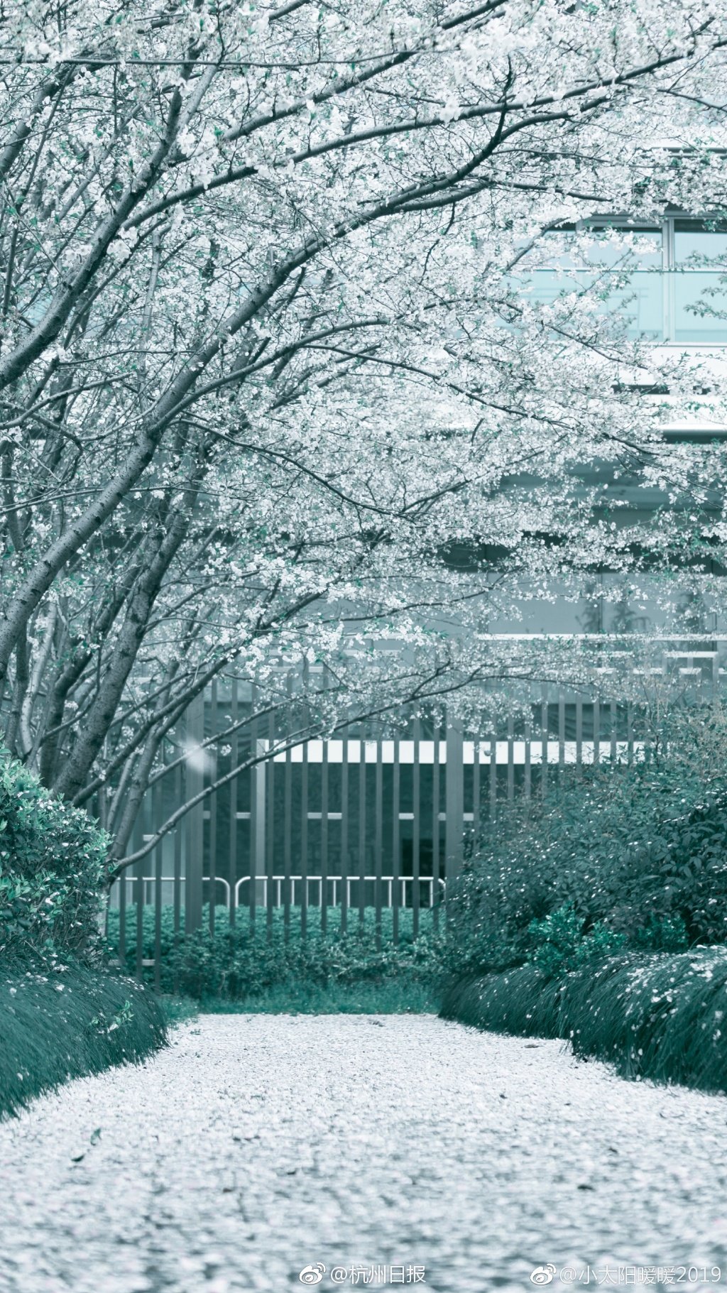 Scientists discovered a new species of marine life in the deep ocean using a remotely operated underwater vehicle