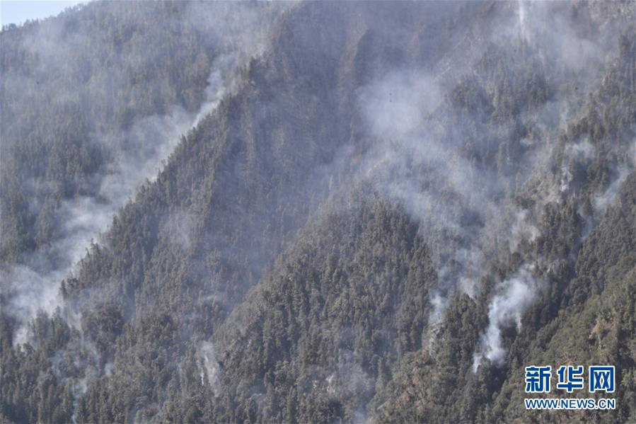 Researchers found that certain plants can purify the air in indoor spaces