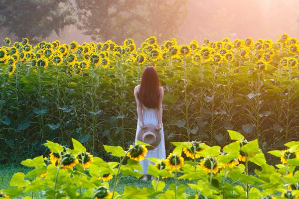 A famous athlete announced their retirement from professional sports after a 20-year career, citing health reasons.