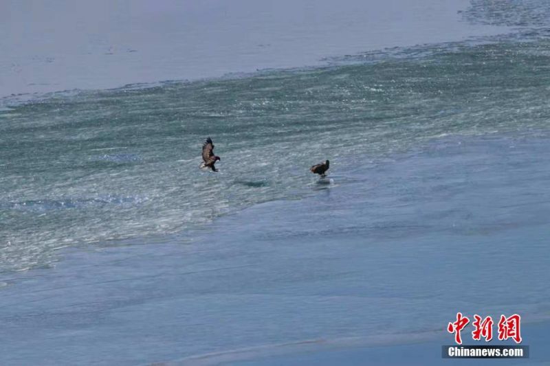 A local artist painted a mural celebrating the city’s diversity on a downtown wall