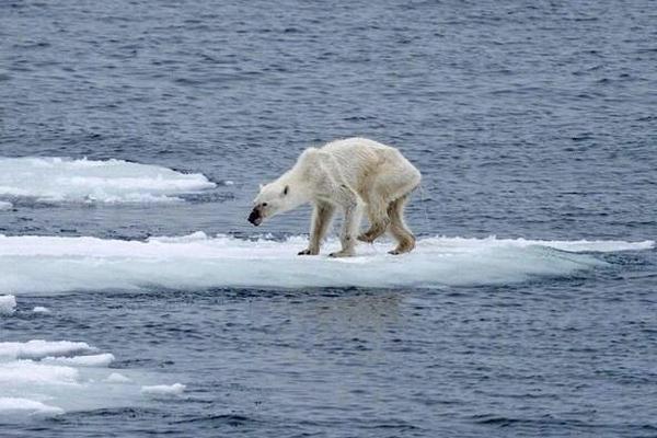 Camera store offers beginner photography workshops on weekends