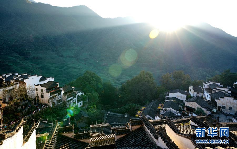 Fitness center adds new cardio equipment and weight training machines