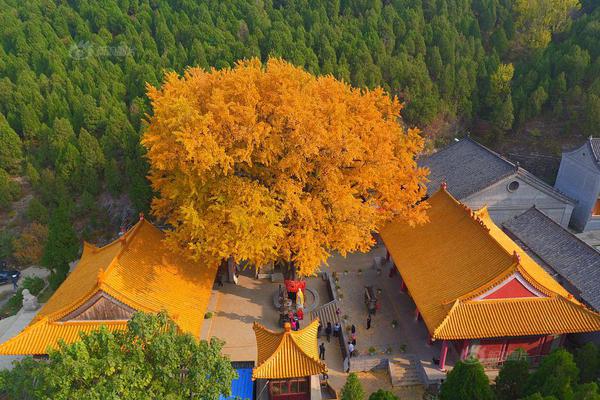 A study found that socializing with friends at least once a week improves mental well-being in older adults