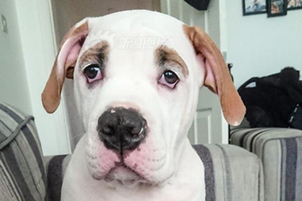 A museum displayed ancient Greek artifacts, including statues, vases, and coins