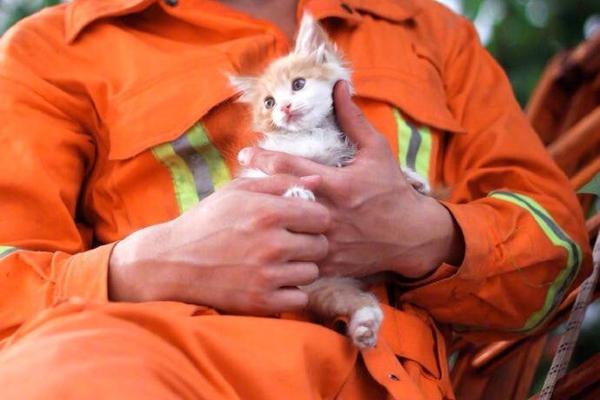 A community held a festival to celebrate cultural diversity with food music and dance from different countries