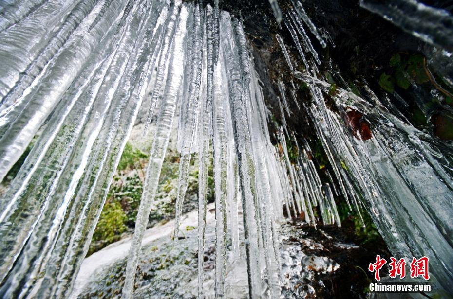 The local museum added interactive exhibits where visitors can touch and test historical tools