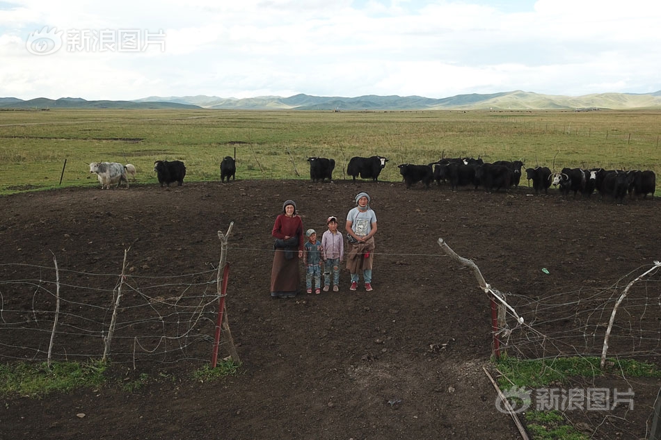 The local museum added interactive exhibits where visitors can touch and test historical tools