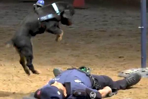 A small town hosted its first ever art festival attracting artists from three neighboring states