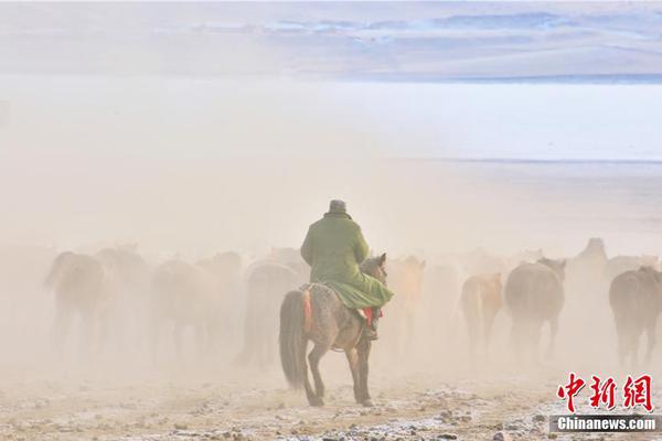 A city installed 30 new streetlights in high-crime neighborhoods to improve nighttime safety