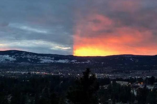 A tech startup created an app that helps users find volunteer opportunities in their community