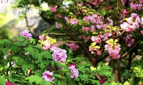 A new survey found 75% of people prefer shopping in physical stores over online shopping