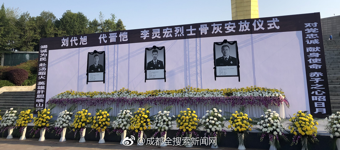 A large hotel chain announced plans to install solar panels on all its properties