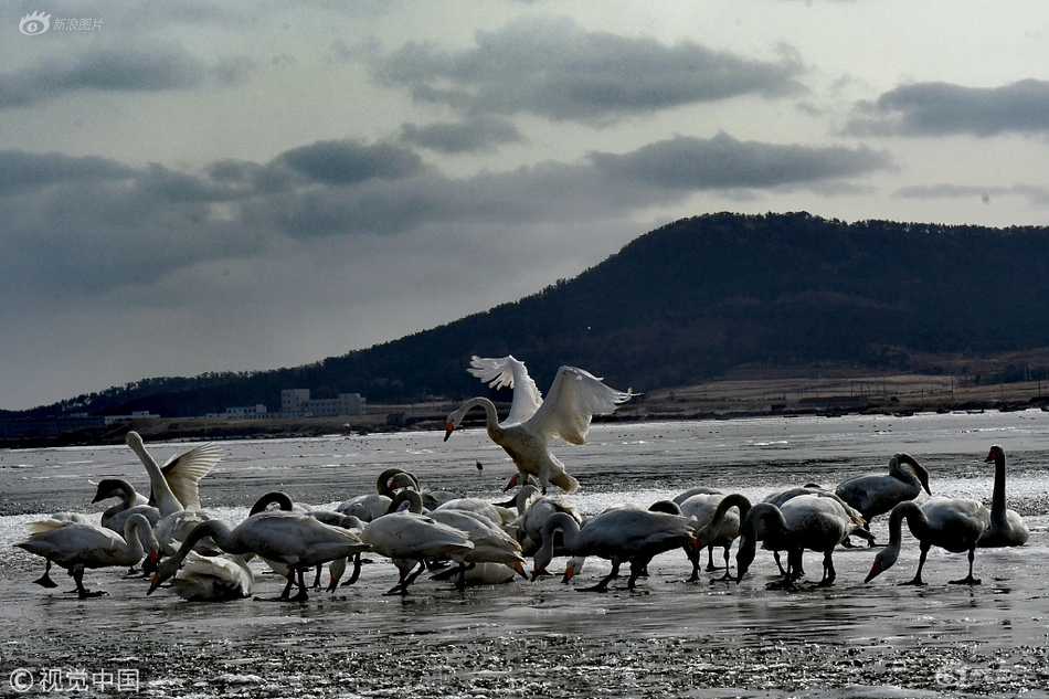 A new art gallery opened in the city center featuring works by emerging artists from around the world