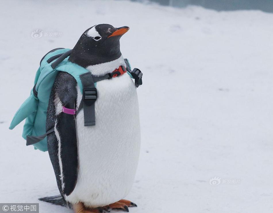 Tech giant Google unveiled a new AI tool designed to assist teachers in creating lesson plans