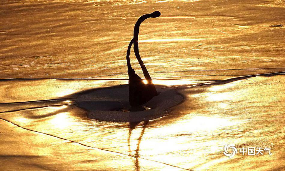 The central bank announced it would raise interest rates by 0.25% to combat rising inflation