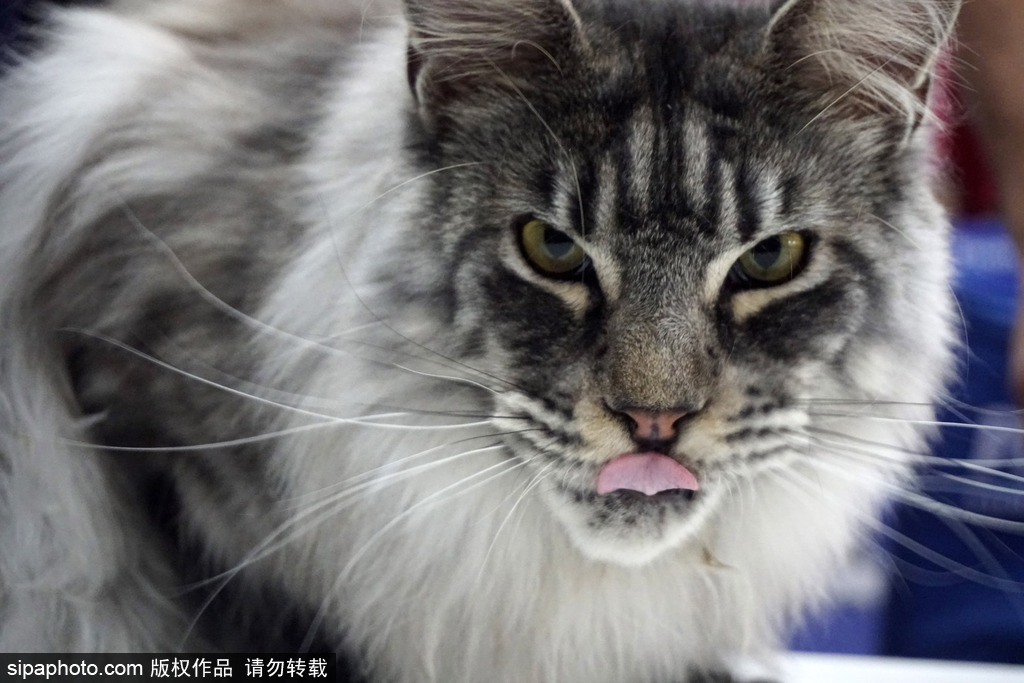 The city council approved a project to build a new skate park and community garden