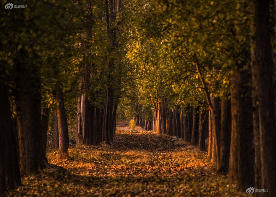 Geologists predict increased seismic activity in volcanic region over next year