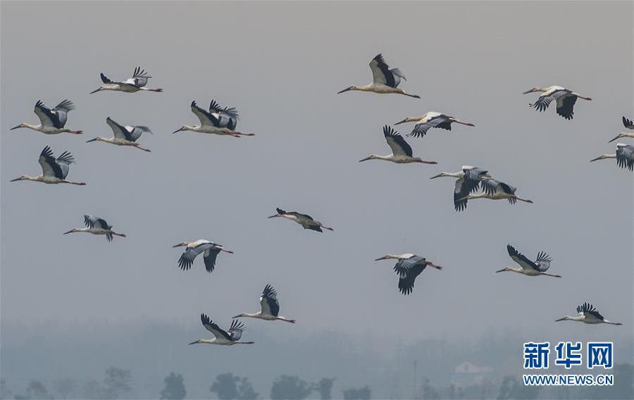 An oil company announced it will build a new carbon capture facility at its refinery