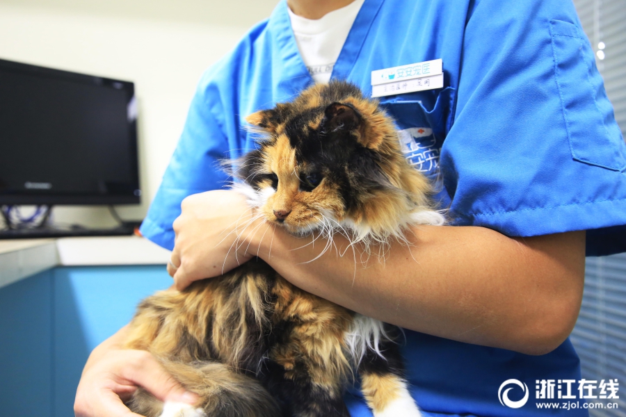 A major bookstore announced plans to host author events throughout the year