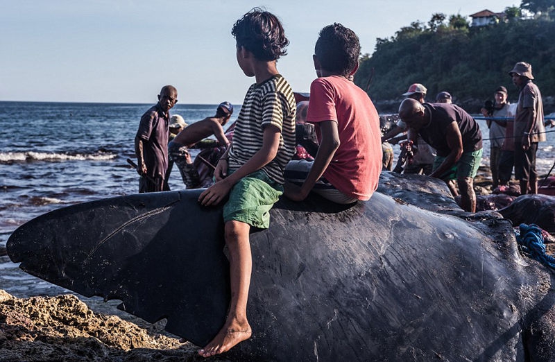 A tech startup introduced a new app that helps users learn a new language quickly