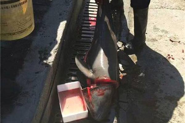 A hospital started a program to provide mental health services to veterans