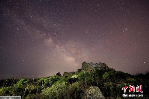 A taxi company added a