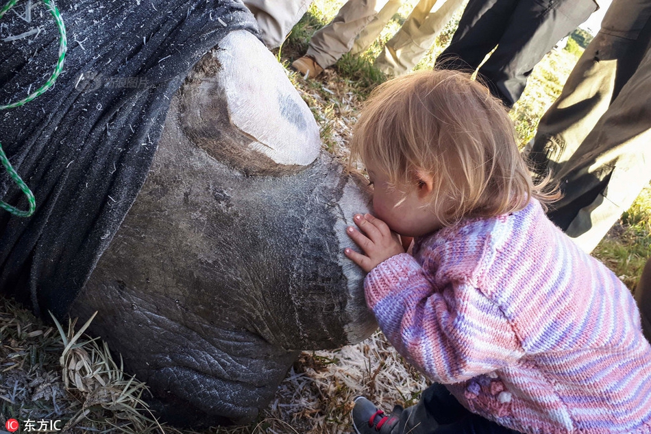 A construction company used solar power to run its equipment during a project