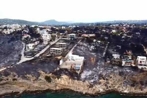 Researchers developed a new blood test that can detect early signs of Parkinson’s disease