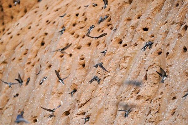 A coffee shop began using reusable cups for customers who bring their own containers